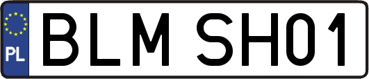 BLMSH01