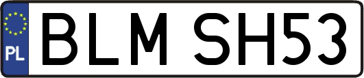 BLMSH53