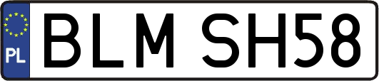 BLMSH58