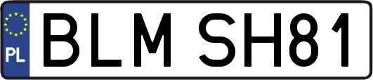 BLMSH81