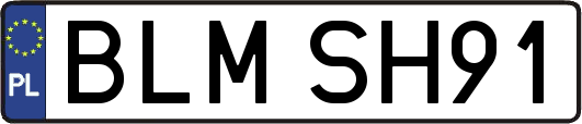 BLMSH91