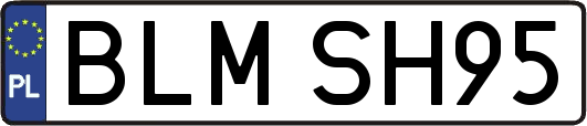 BLMSH95