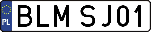 BLMSJ01