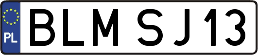 BLMSJ13