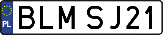 BLMSJ21