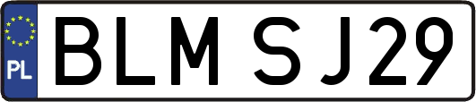 BLMSJ29