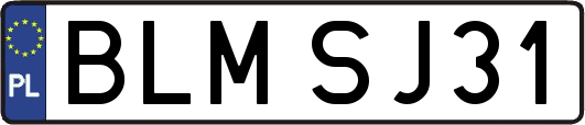BLMSJ31