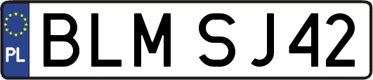 BLMSJ42