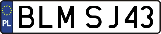 BLMSJ43