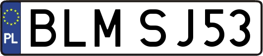 BLMSJ53