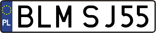 BLMSJ55