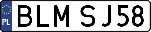 BLMSJ58