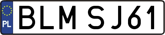 BLMSJ61