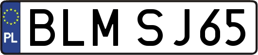 BLMSJ65