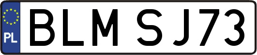 BLMSJ73