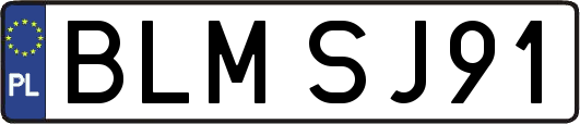 BLMSJ91