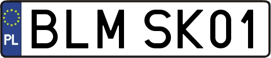 BLMSK01