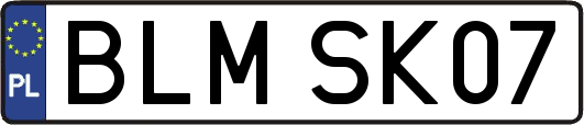 BLMSK07