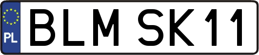 BLMSK11