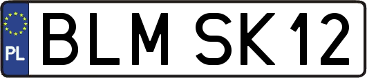 BLMSK12