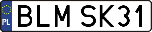 BLMSK31
