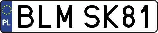 BLMSK81
