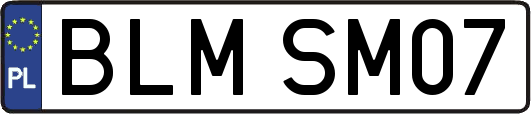 BLMSM07