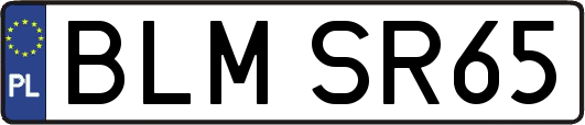 BLMSR65