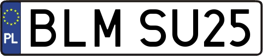 BLMSU25