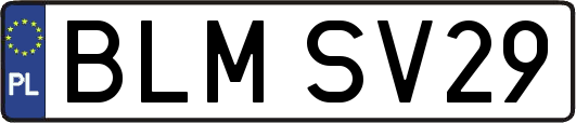 BLMSV29