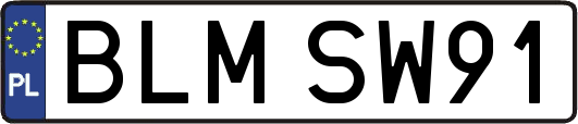 BLMSW91