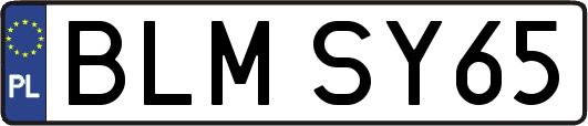 BLMSY65