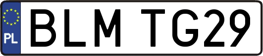 BLMTG29