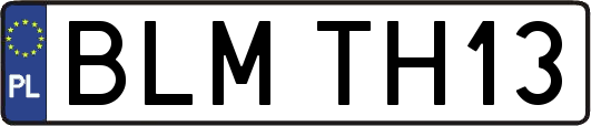BLMTH13