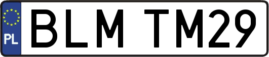 BLMTM29