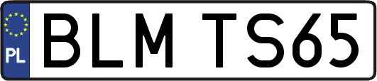 BLMTS65