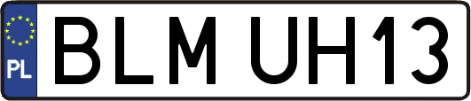 BLMUH13