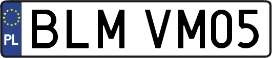 BLMVM05