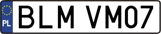 BLMVM07