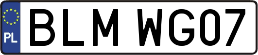 BLMWG07