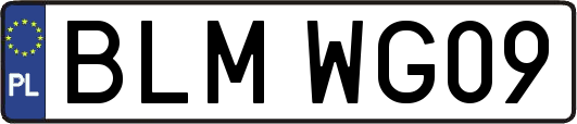 BLMWG09