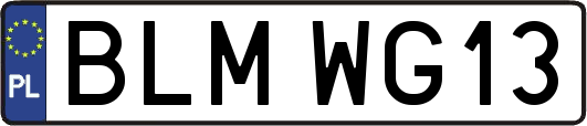 BLMWG13