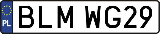 BLMWG29