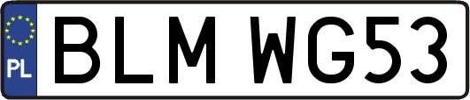 BLMWG53