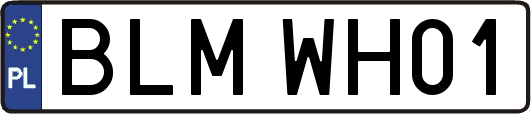 BLMWH01