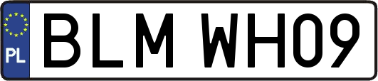 BLMWH09