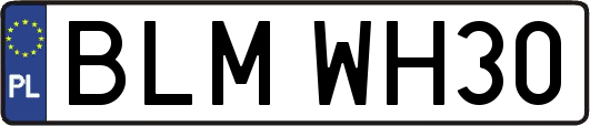 BLMWH30