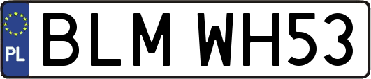 BLMWH53