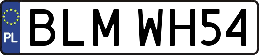 BLMWH54