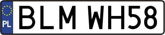 BLMWH58